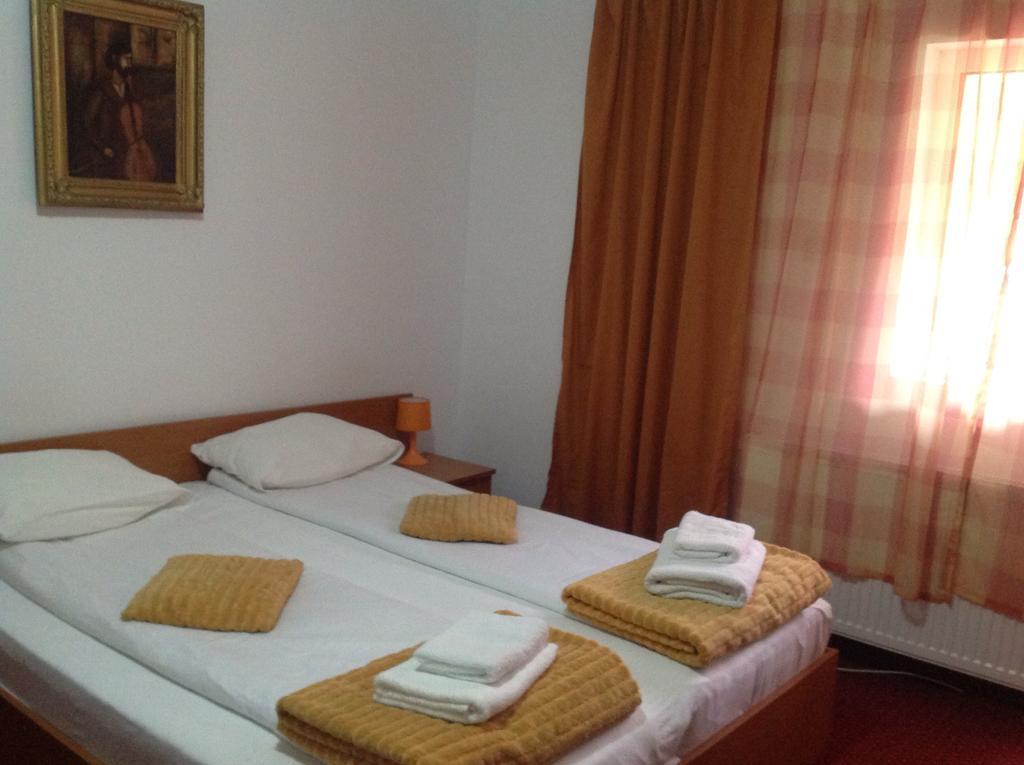 Hotel Panoramic Moneasa Bilik gambar