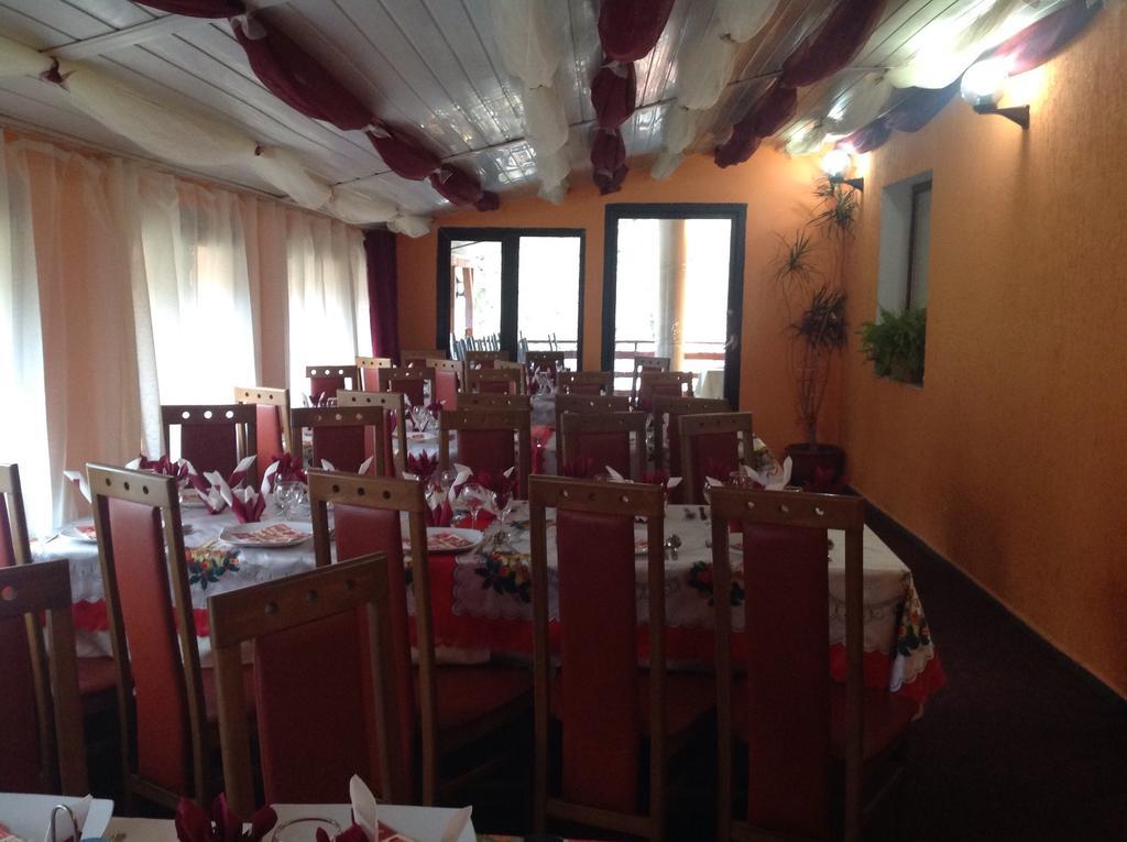 Hotel Panoramic Moneasa Bilik gambar