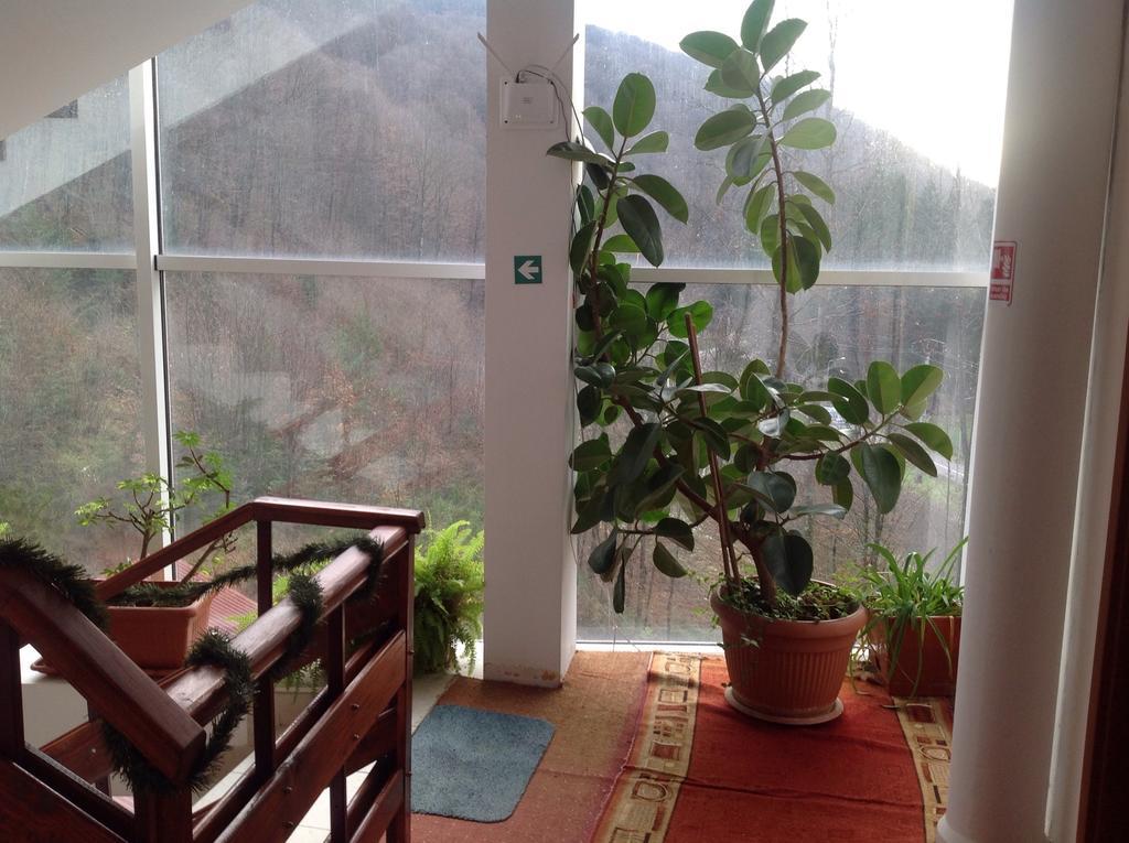 Hotel Panoramic Moneasa Bilik gambar